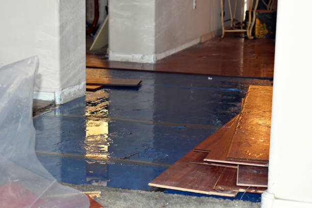 Professional Water Damage Repair technician working in Saunderstown, RI